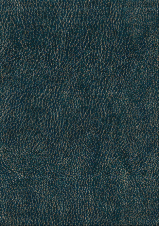 Noble Skin 11699-leather peak - handgefertigter Teppich,  tibetisch (Indien), 100 Knoten Qualität